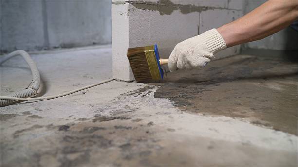 SJ Waterproofing Pros Waterproofing coverage map for Reeseville, WI and surrounding area